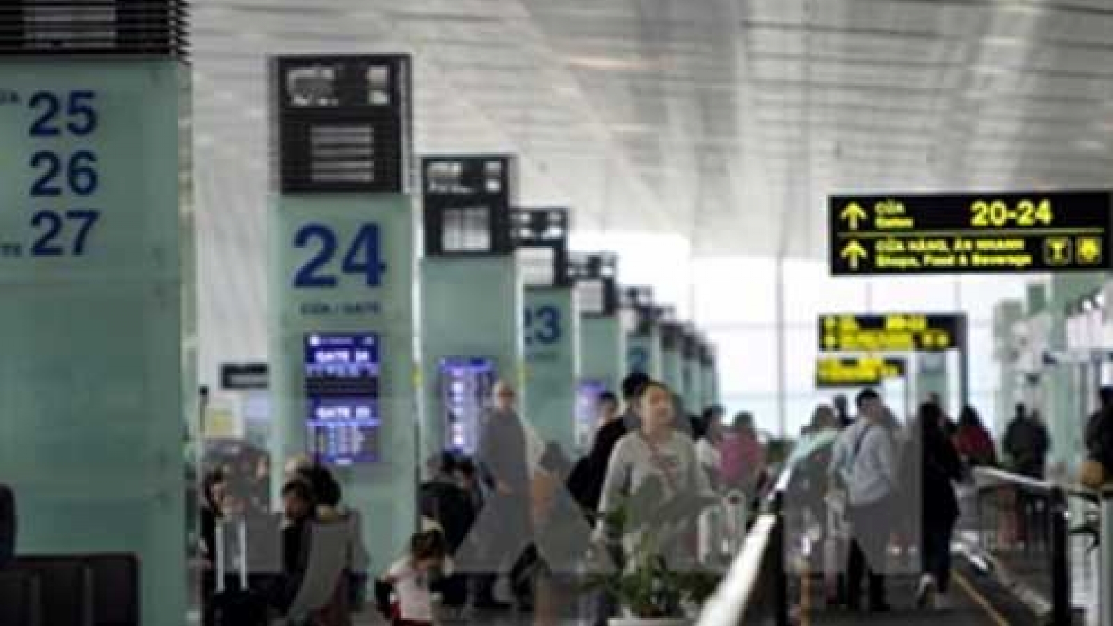 Vietnam learns from experience in seaport, airport privatisation