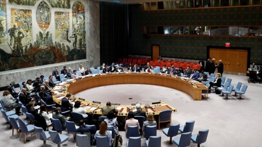 Vietnam nominated as Asia-Pacific’s only candidate for non-permanent UNSC seat