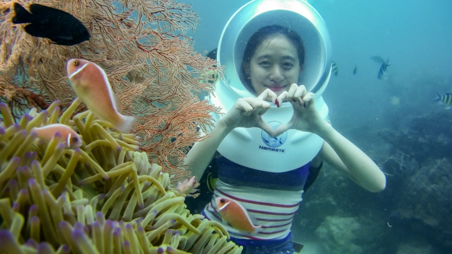 Stunning underwater landscapes in Phu Quoc island