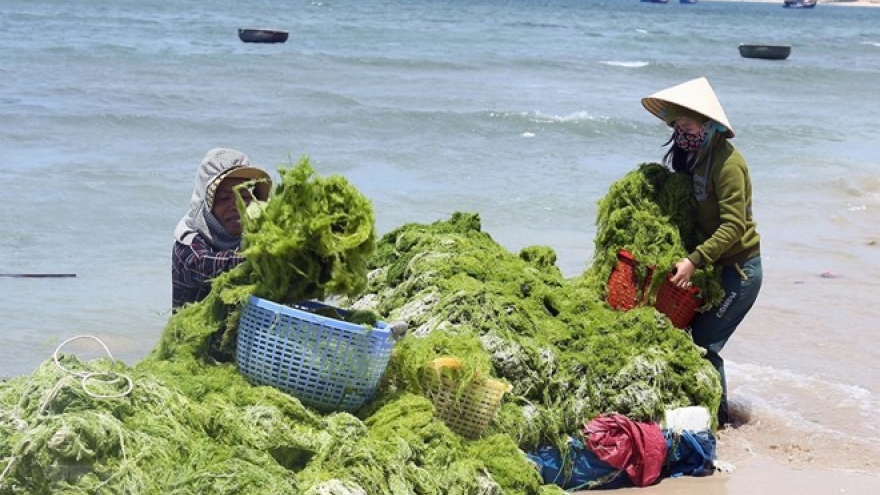 Marine economy makes up 10 percent of Vietnam’s GDP