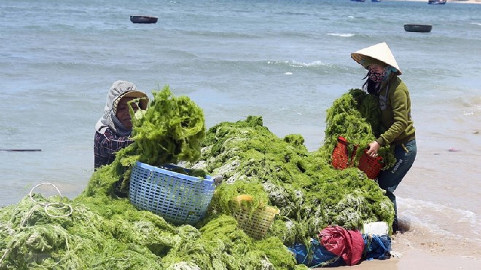 Marine economy makes up 10 percent of Vietnam’s GDP