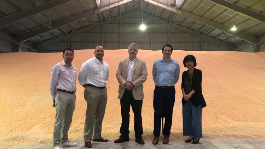 First direct shipment of US corn arrives in Vietnam