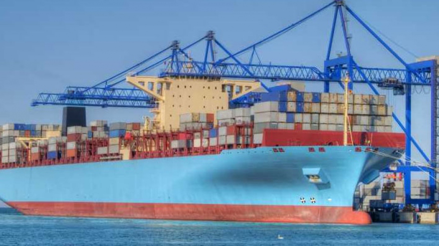Shipping firms cannot go to sea because of shortage of big ships