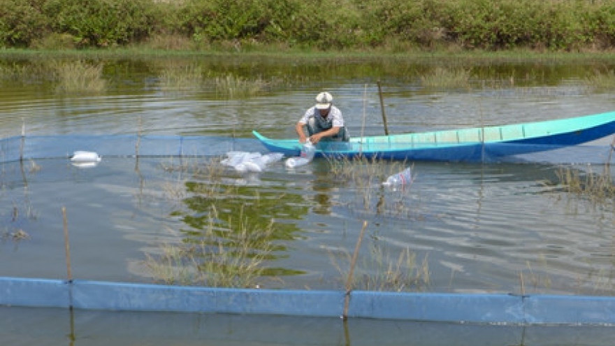 Adaptation of shrimp farming to climate change