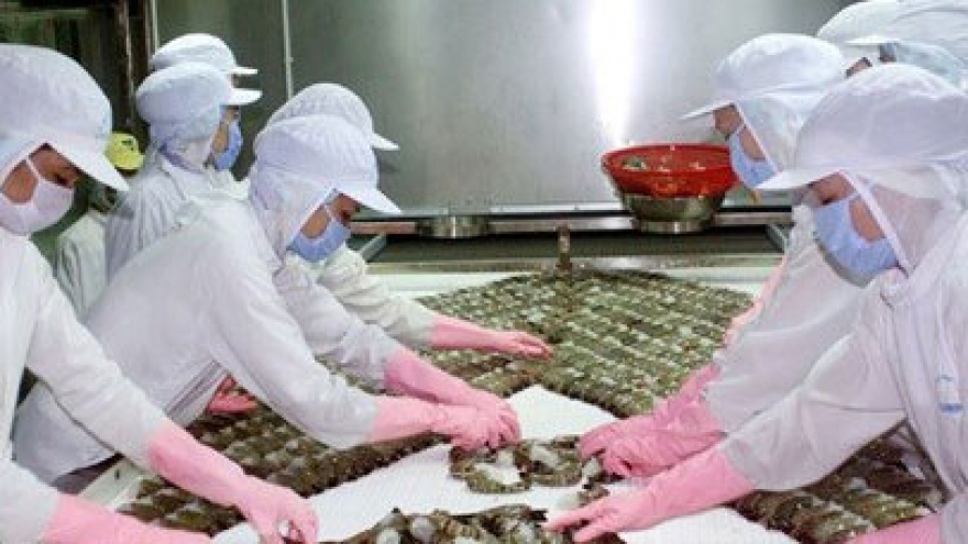 Shrimp farmers should increase product quality: experts