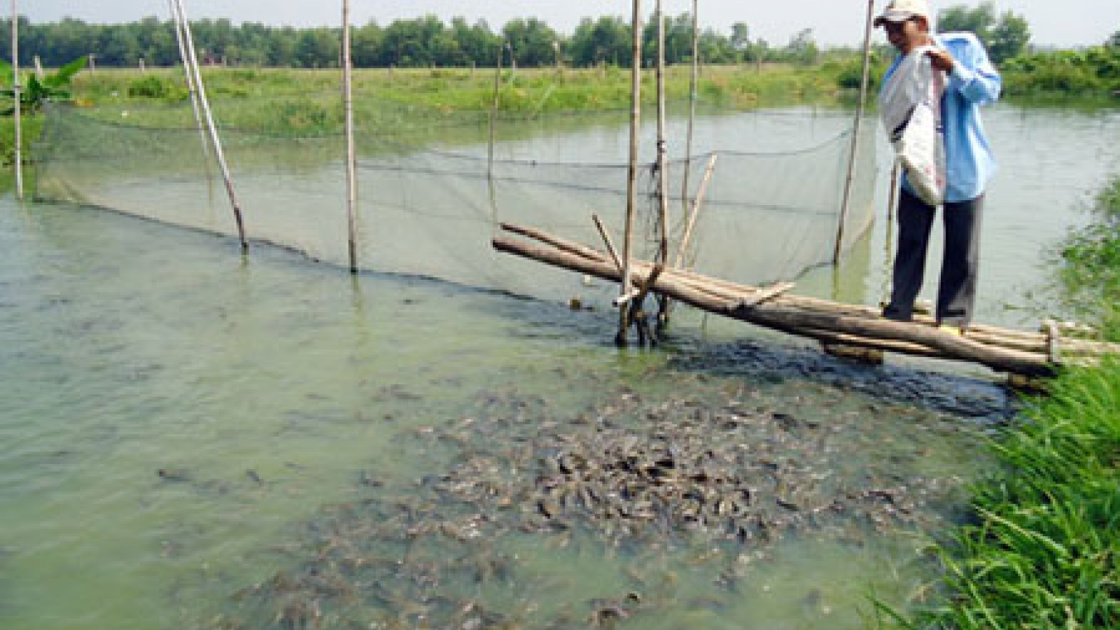WWF projects promote sustainable development