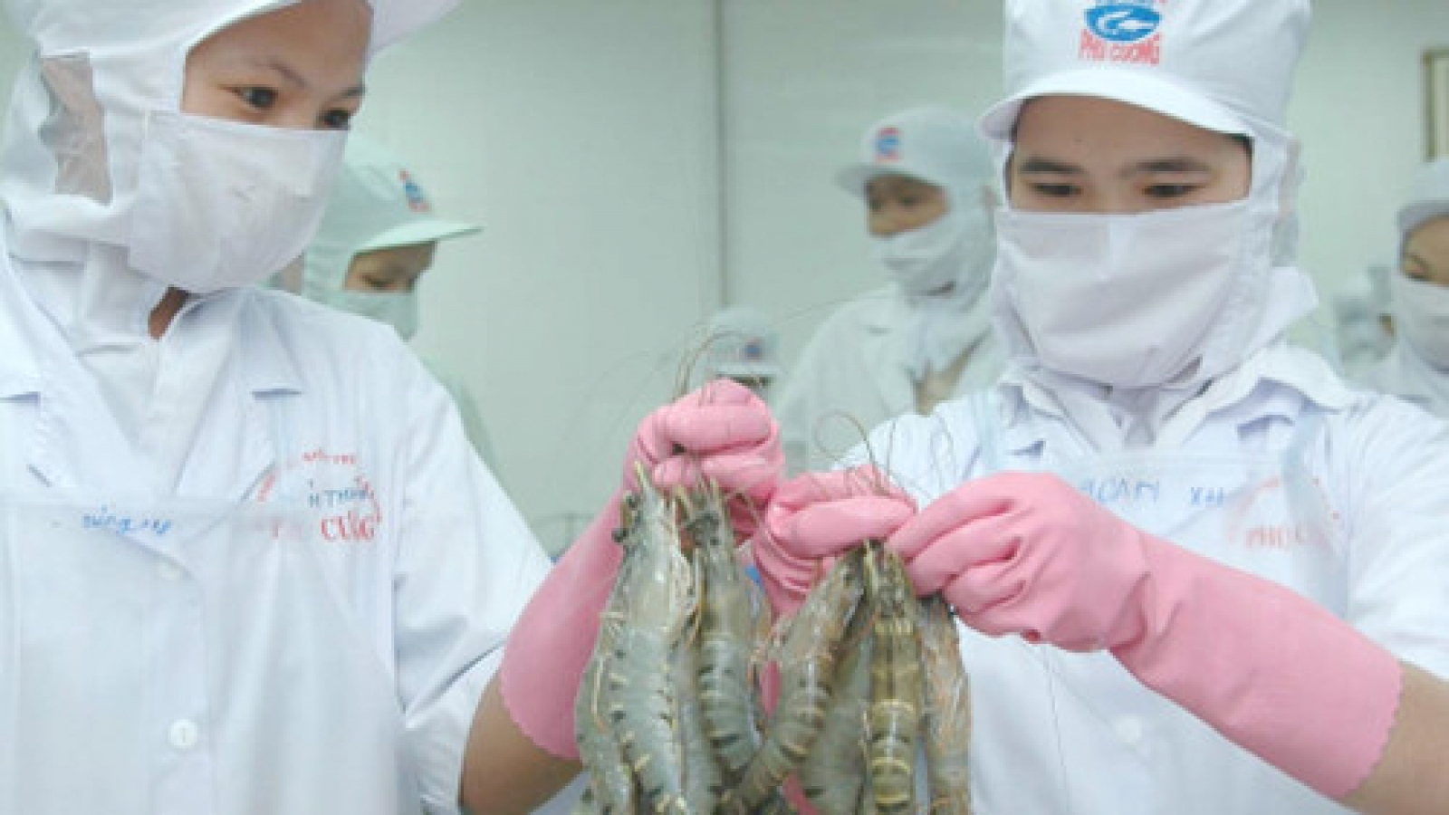 Seafood exports surge 25.4% in eight months