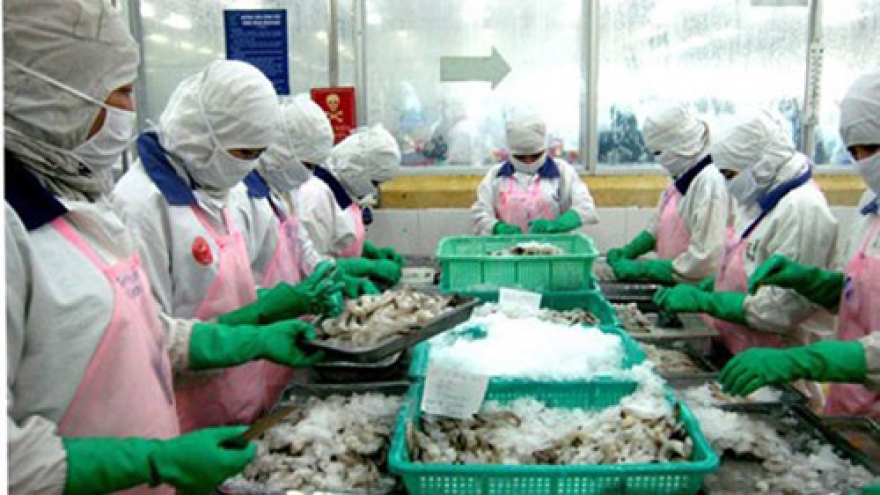 Vietnam looks for shrimp farming to save the Mekong Delta