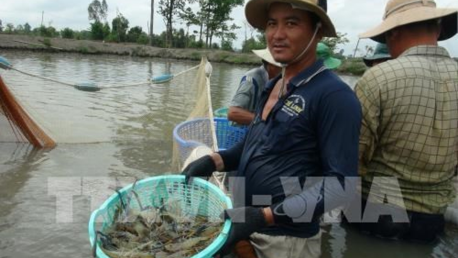Technology exhibition of Vietnam shrimp sector to run in Bac Lieu