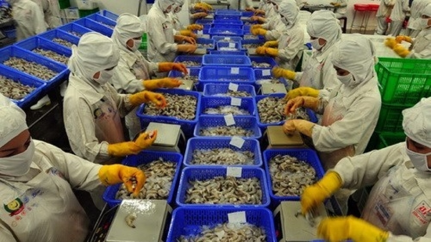 
        More efforts urged to reorganise shrimp industry
                              