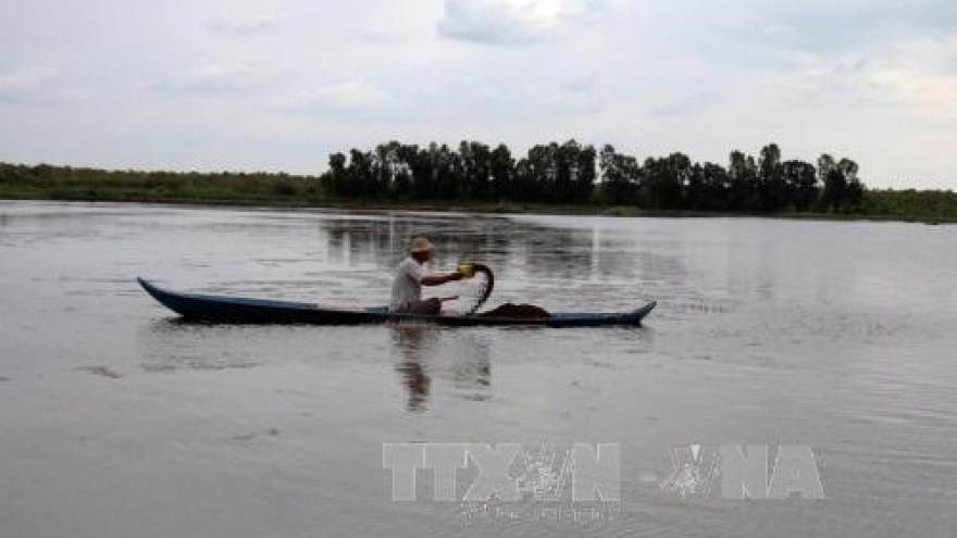 Mekong Delta farmers begin shrimp harvest