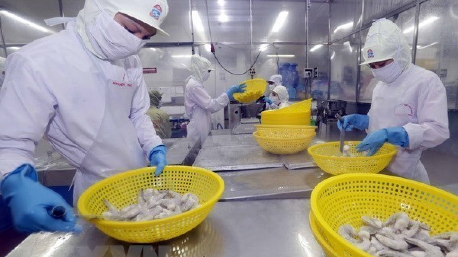 Vietnam’s shrimp export to Japan shows signs of recovery