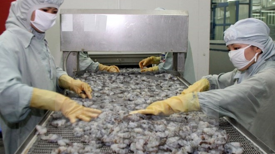 Safe shrimp production chain for export to be supervised