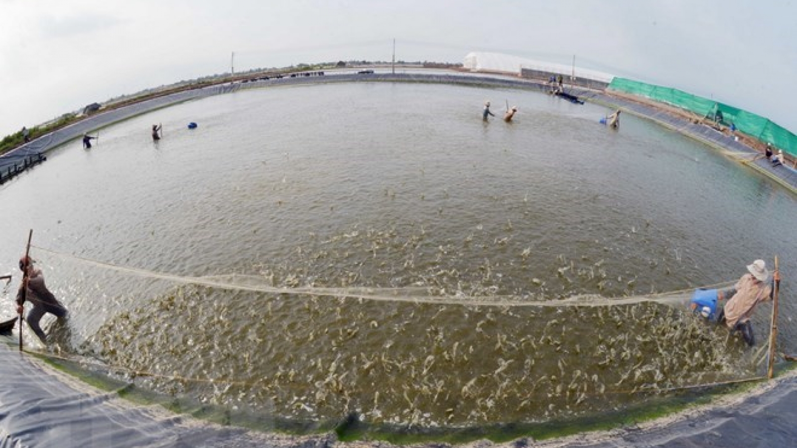 Kien Giang province to expand export markets