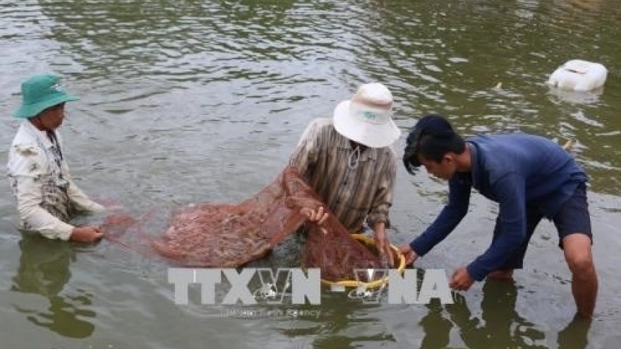 Seminar talks development of shrimp farming