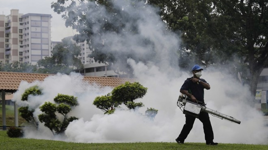 Singapore reports drop in new Zika infections