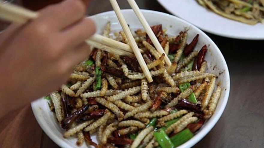 Worming its way back to the culinary club