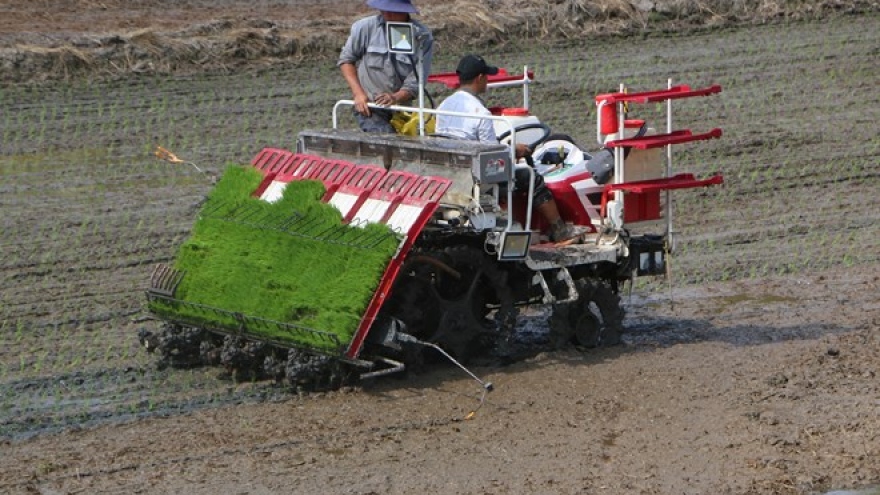 First smart rice cultivation model piloted in Hau Giang