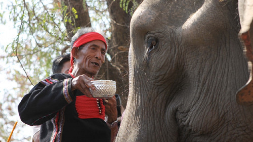 M’nong elephant worship