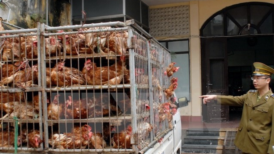 Ministry asks for concerted efforts to prevent poultry smuggling