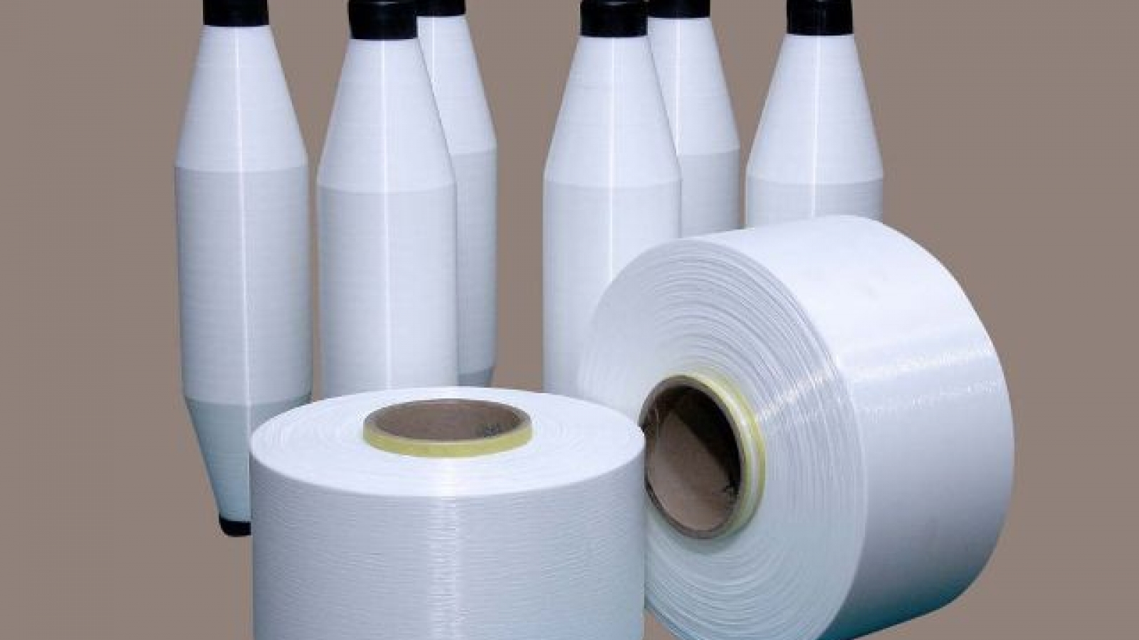 Oral arguments set in India spandex anti-dumping probe
