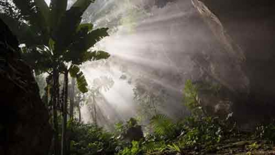 Son Doong cave welcomes 500 more tourists