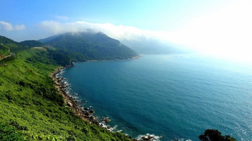 Experts: Stop building in Son Tra Nature Reserve