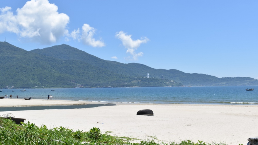Danang proposes cutback in number of hotels on Son Tra peninsula
