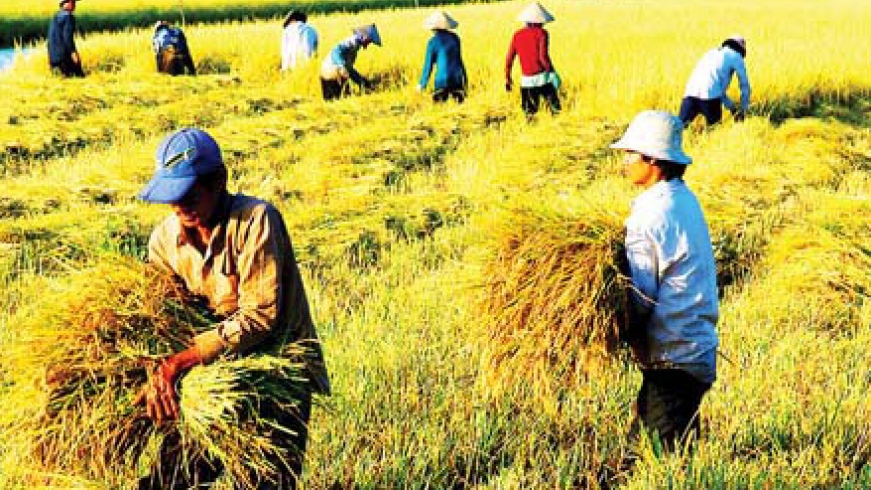 Mekong Delta provinces seek new outlets 