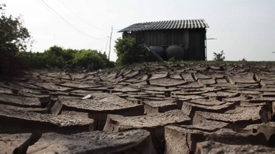 Dry season irrigation planned