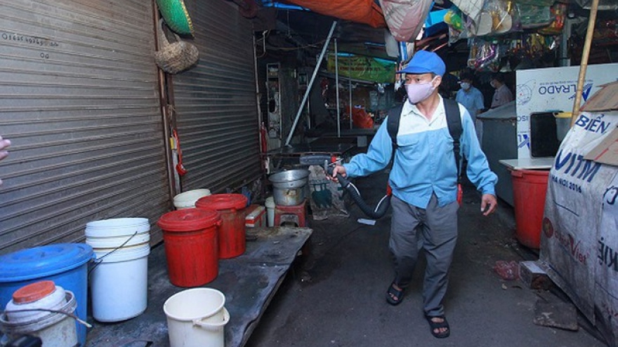 Hanoi striving to get dengue fever under control in November