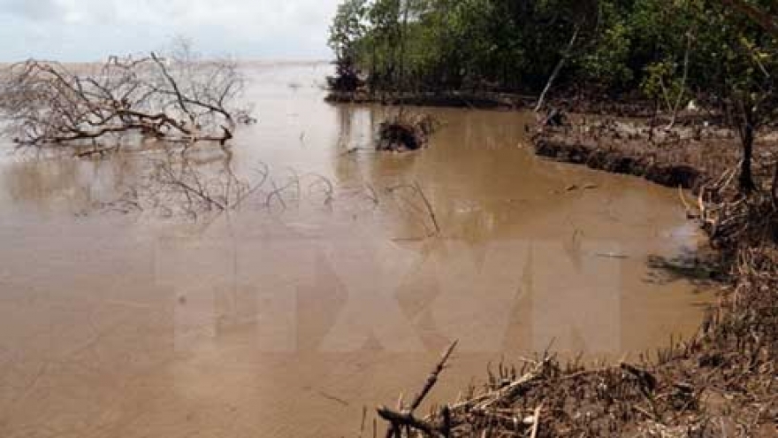 Salinity intrusion prevention measures proposed for southern region