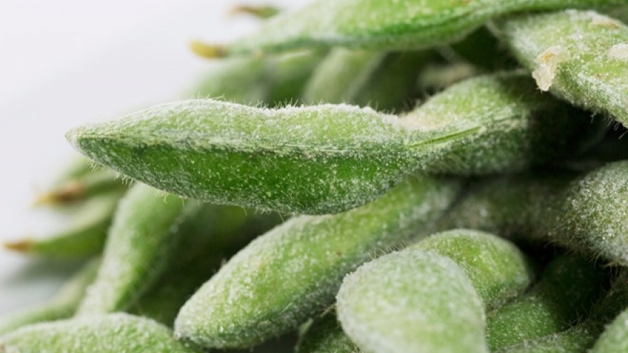 Vietnam’s leading fruit exporter eyes 20% growth