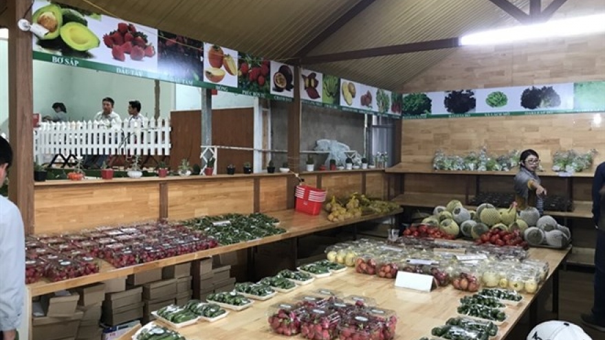 Lam Dong province develops agritourism