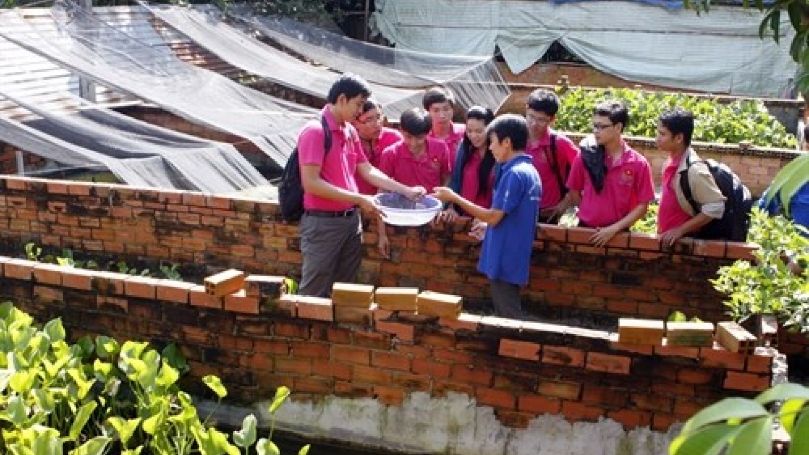 HCM City target youth for business startup hub
