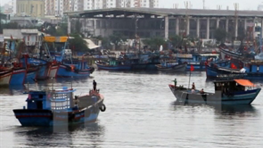 
        Storm Kujira to roll in Quang Ninh’s waters
                              
