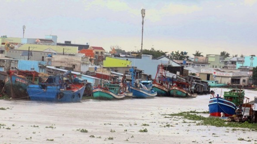 Vietnam braces for tropical storm Son Tinh