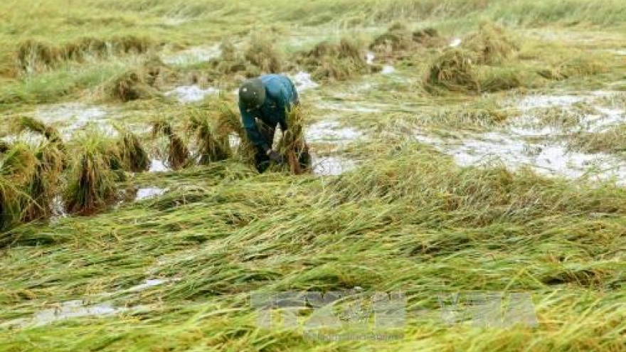 
        Two dead, five missing in landslide in Nghe An
                              