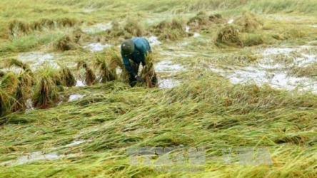 Two dead, five missing in landslide in Nghe An