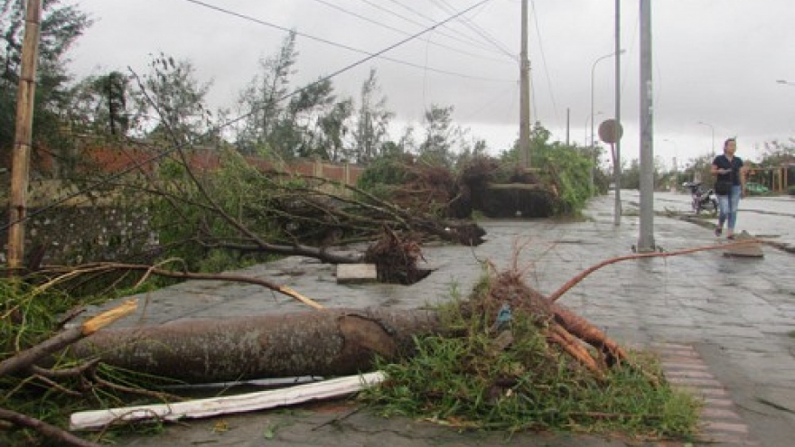 Up to 15 storms, depressions forecast to enter East Vietnam Sea in 2017
