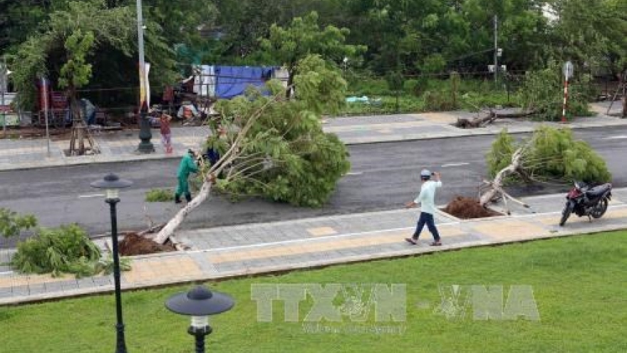 Central localities urged to overcome storm consequences