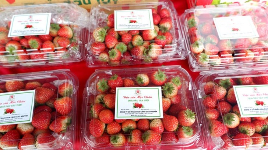 Son La strawberry, farm produce week opens in Hanoi