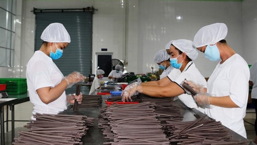 VN-made, eco-friendly straws popular with importers