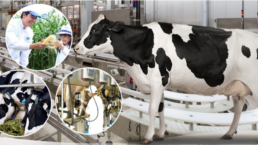 Excitement builds for int’l dairy expo in Hanoi 