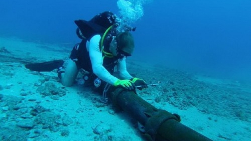 AAE-1 submarine cable system launches in Vietnam