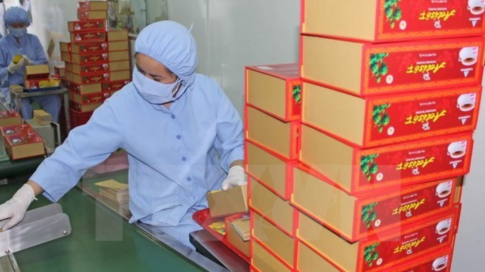 Health sector seeks to develop domestic medicinal materials