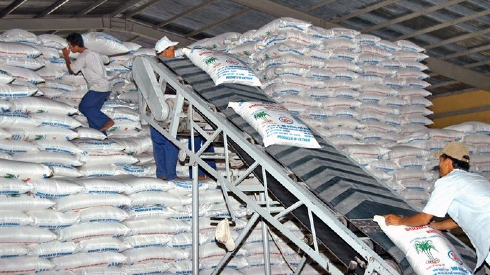 Gov’t proposes sugar import auctions