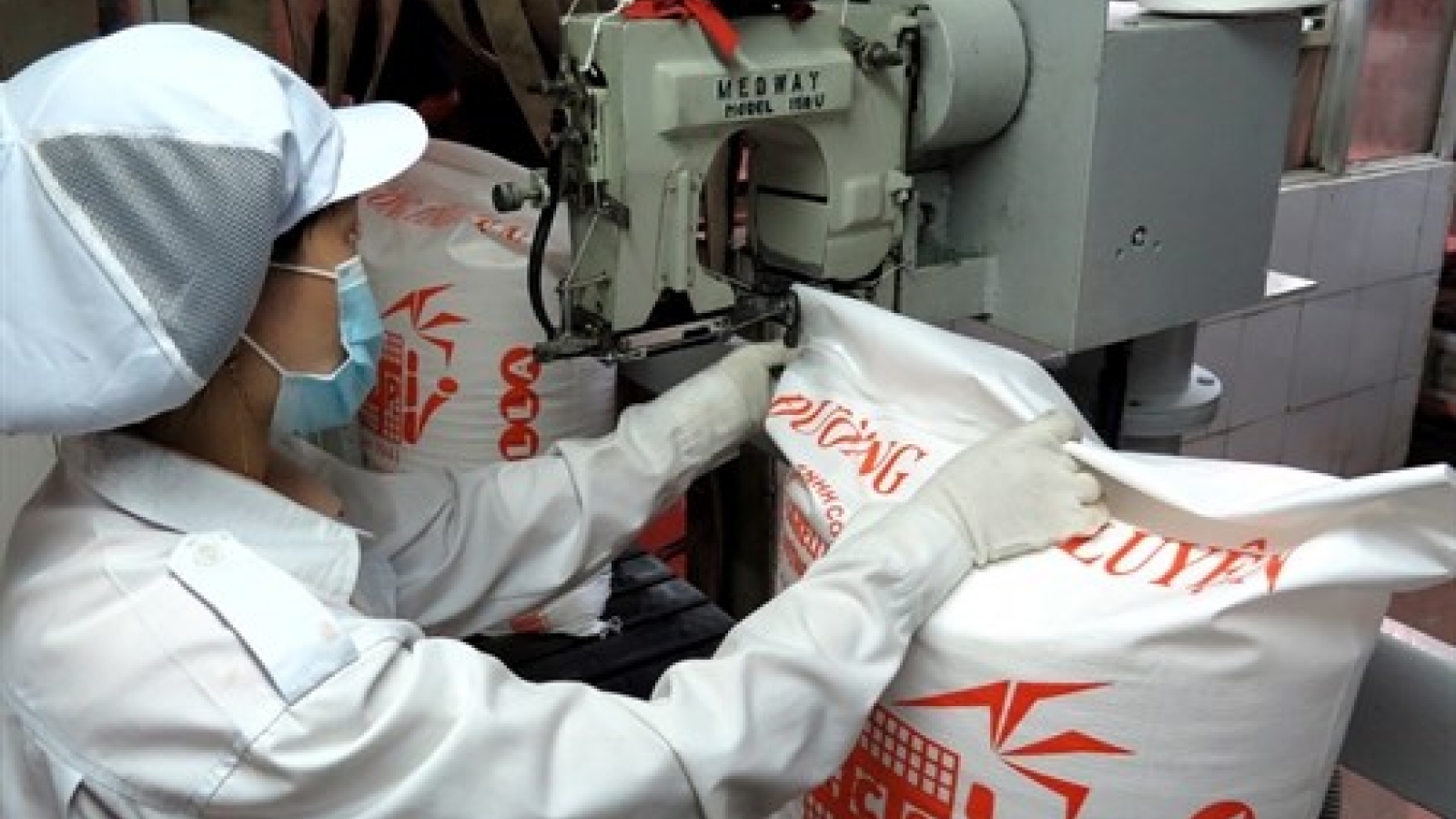 Eleven firms win first-ever sugar bids