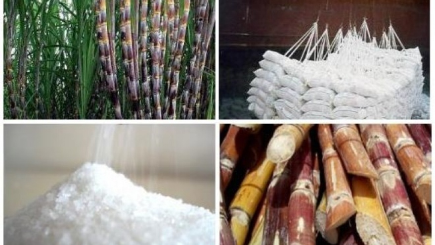 Sugar industry: some die, others thrive