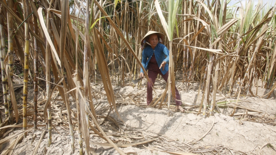 Vietnam sees full state exit from sugar mills by end 2017